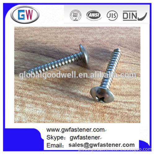 304 Stainless Truss Head Self Tapping Screw